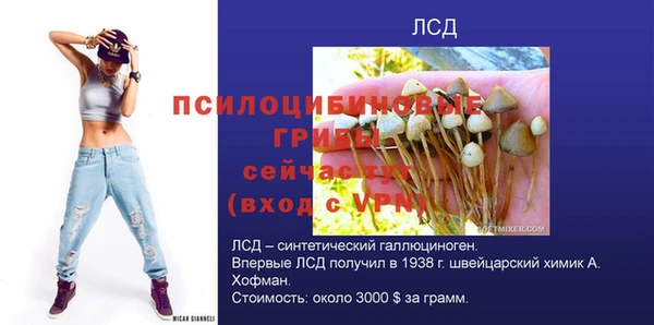 не бодяженный Гусиноозёрск