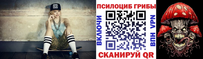 Псилоцибиновые грибы мицелий  Купить где  Свирск 